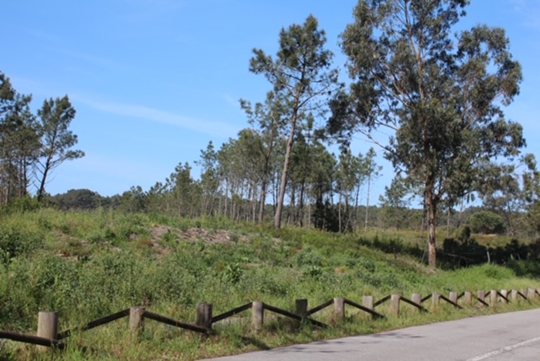 Aterro sanitário de Maceda ameaça contaminar orla costeira