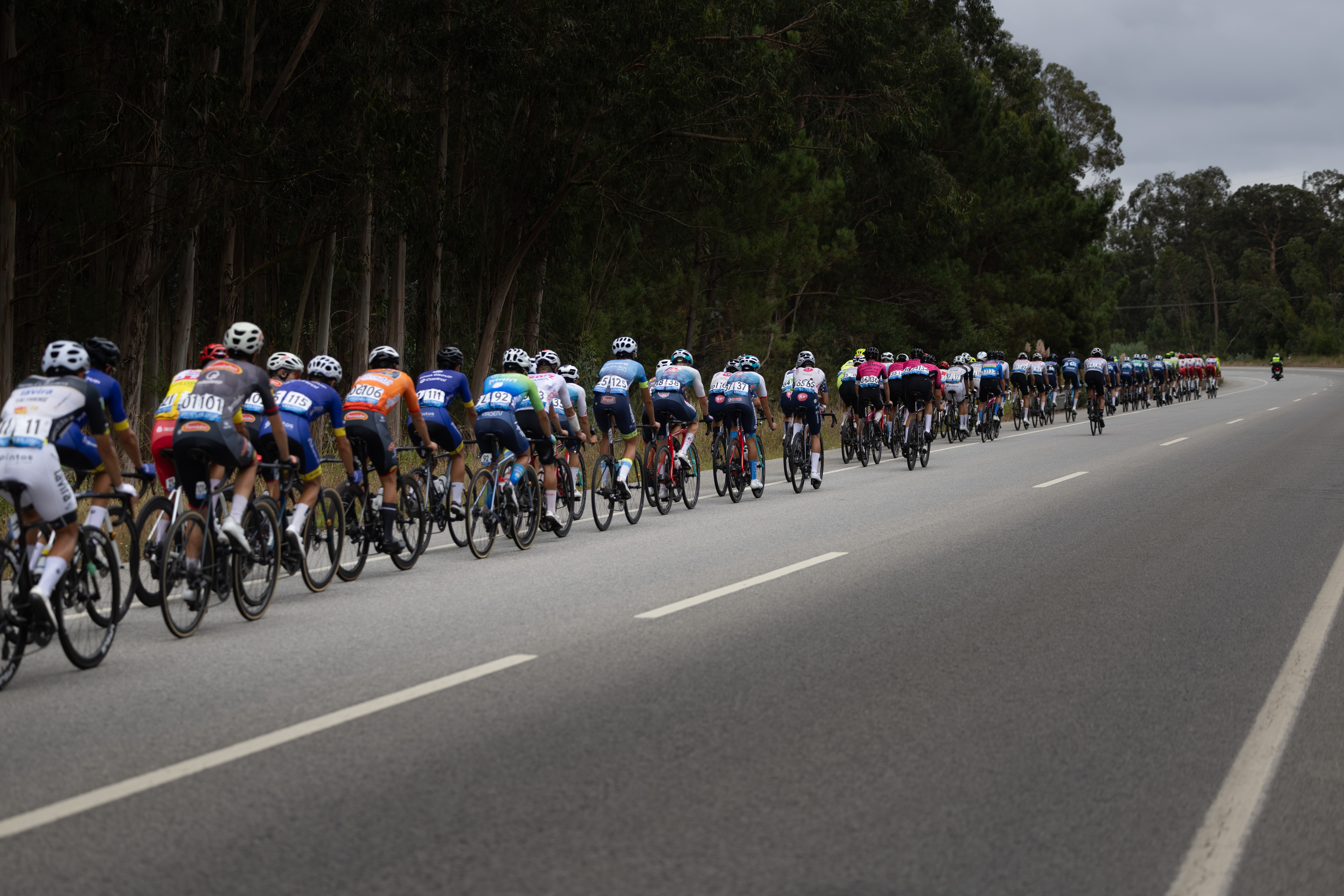 Manter a pressão dos pneus até ao sprint final: como se pedala numa etapa do Grande Prémio JN