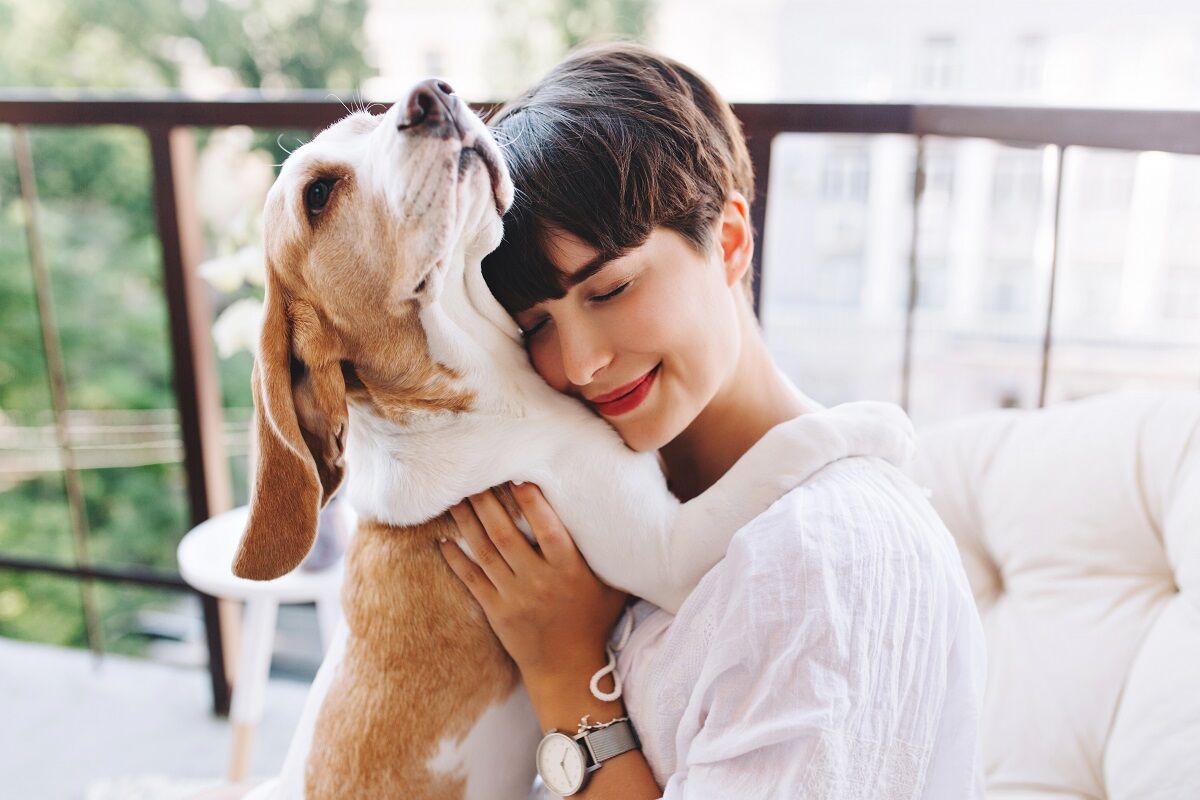 &Eacute; verdade que um ano de vida humano corresponde a sete anos para um c&atilde;o? A ci&ecirc;ncia explica