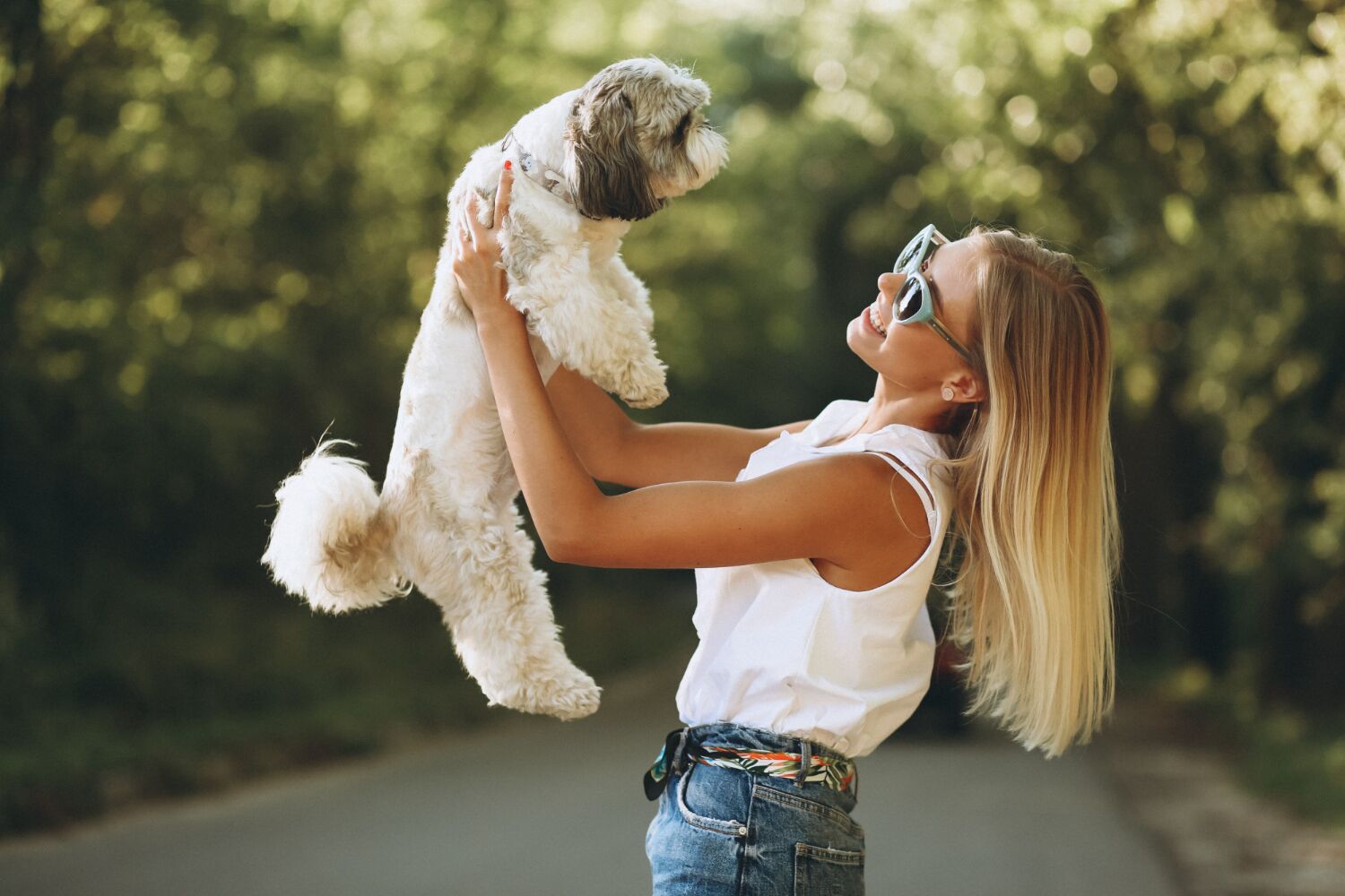 Como garantir que o seu c&atilde;o &eacute; saud&aacute;vel