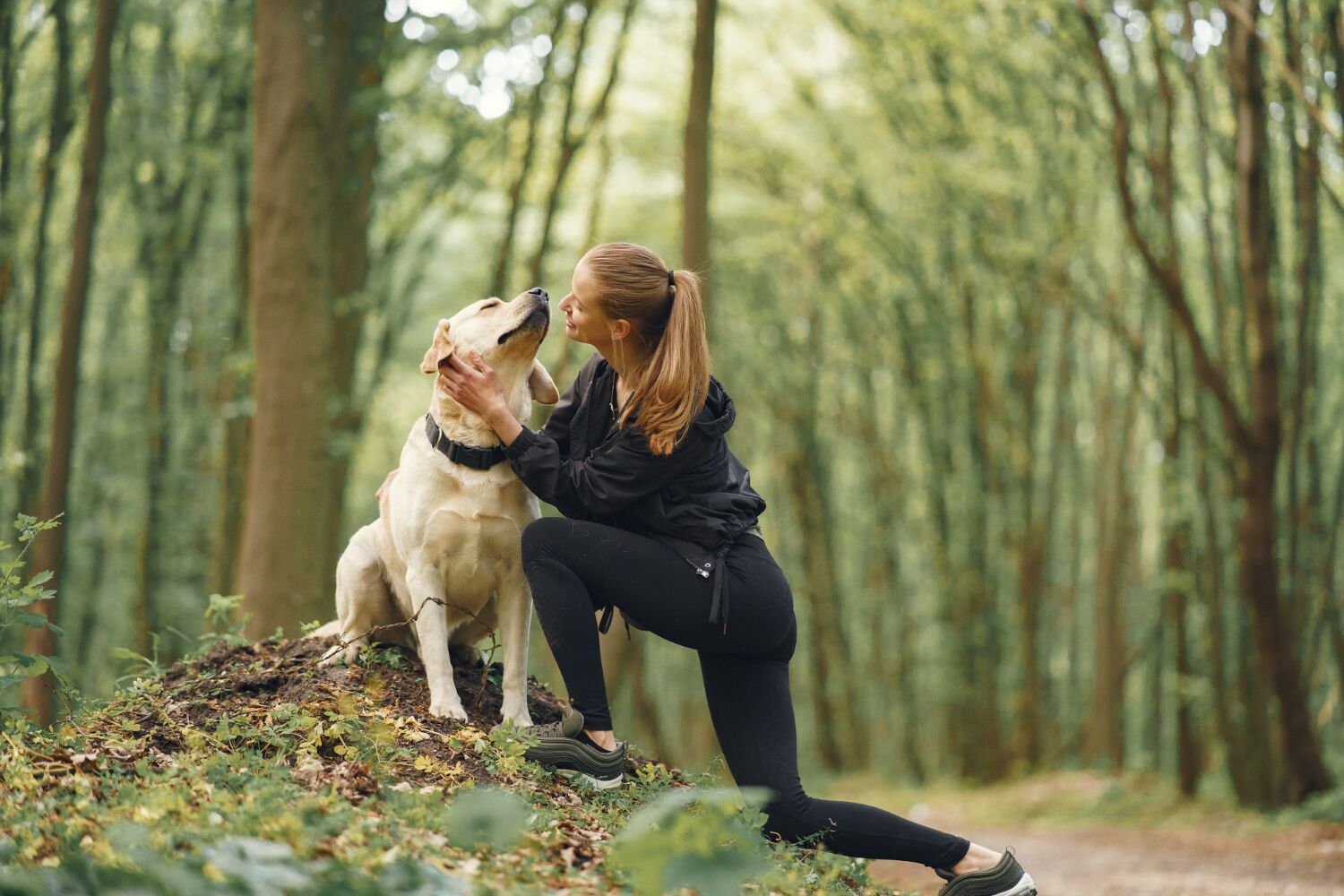 5 dicas para come&ccedil;ar a correr com o seu c&atilde;o