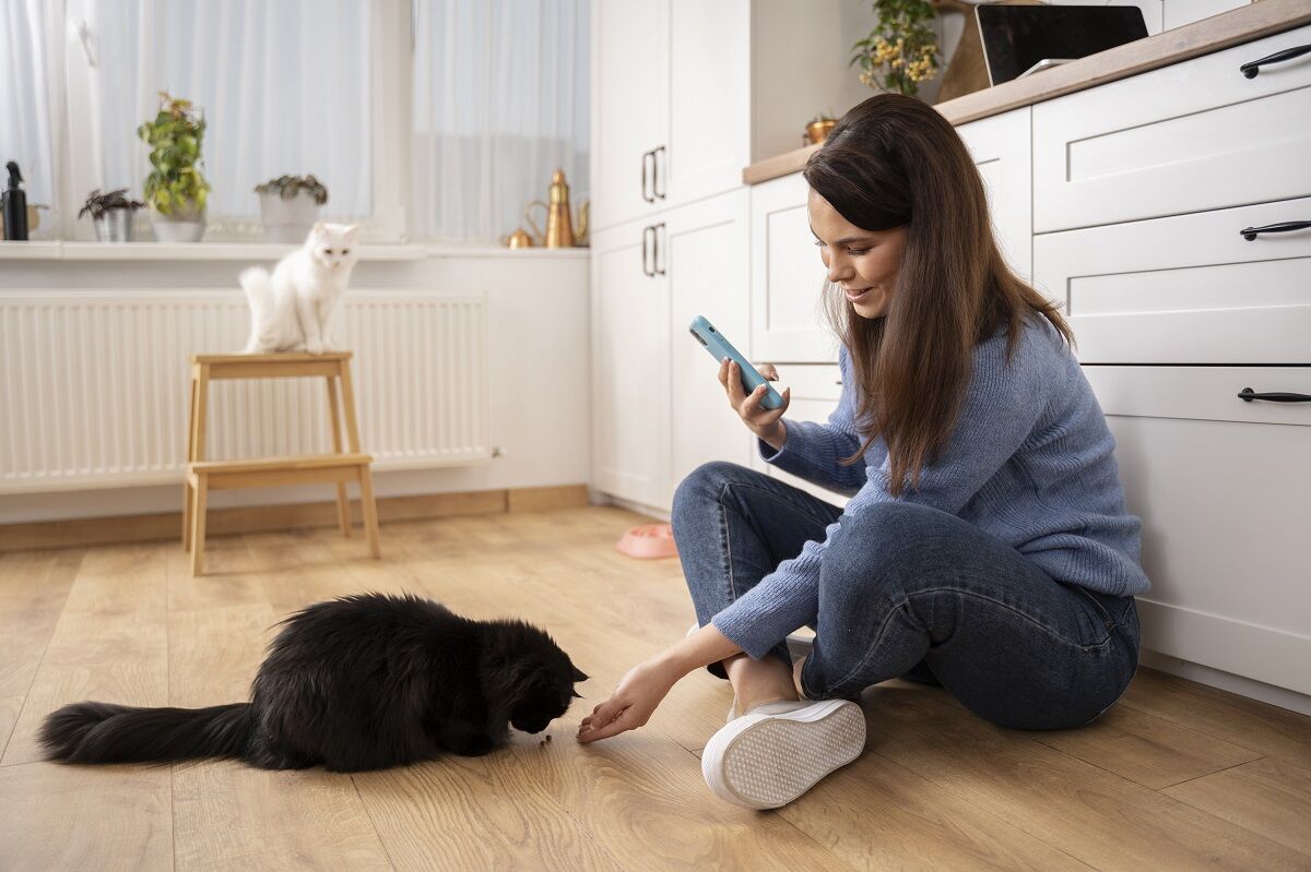 Esta intelig&ecirc;ncia artificial traduz o que o seu gato diz