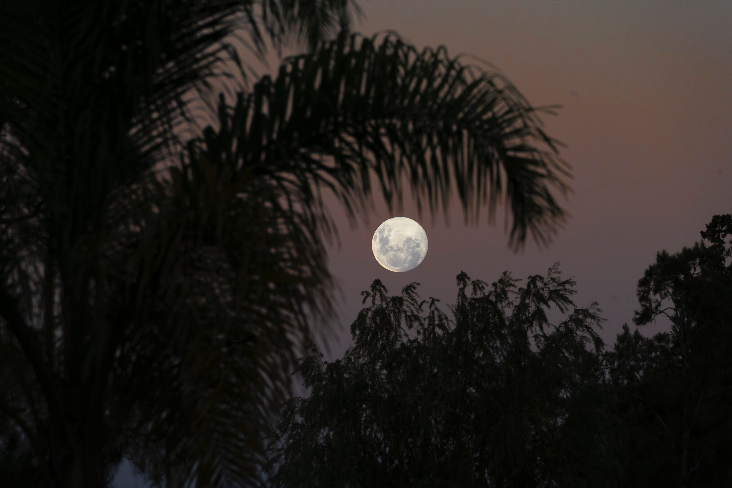 Afinal, que influência tem a lua cheia na nossa saúde?