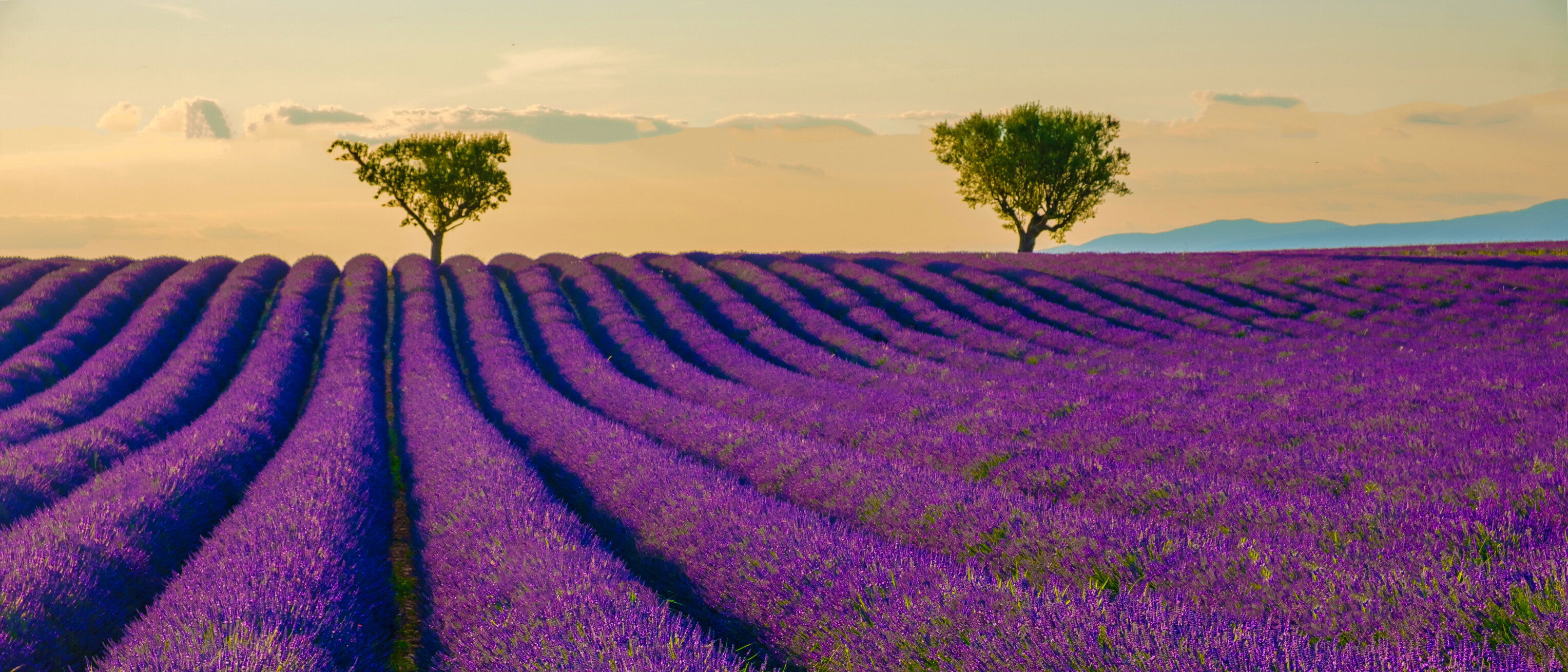 Provença e Côte D'Azur